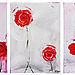 Fleurs_tryptiques