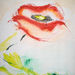 Coquelicot