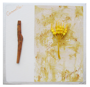 Tableau_cannellecurcuma